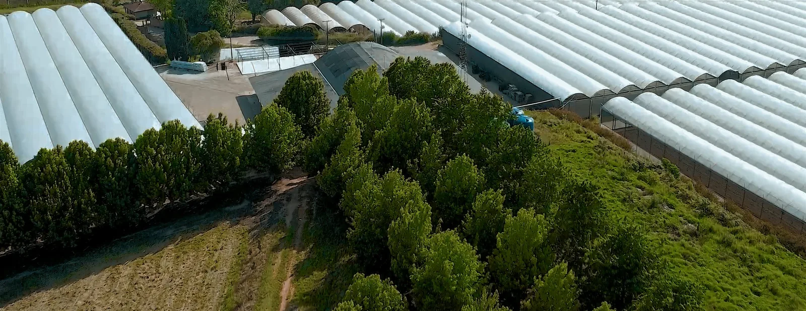 Cinematic frame from Fazenda Alpes institutional film by ORB Audiovisual