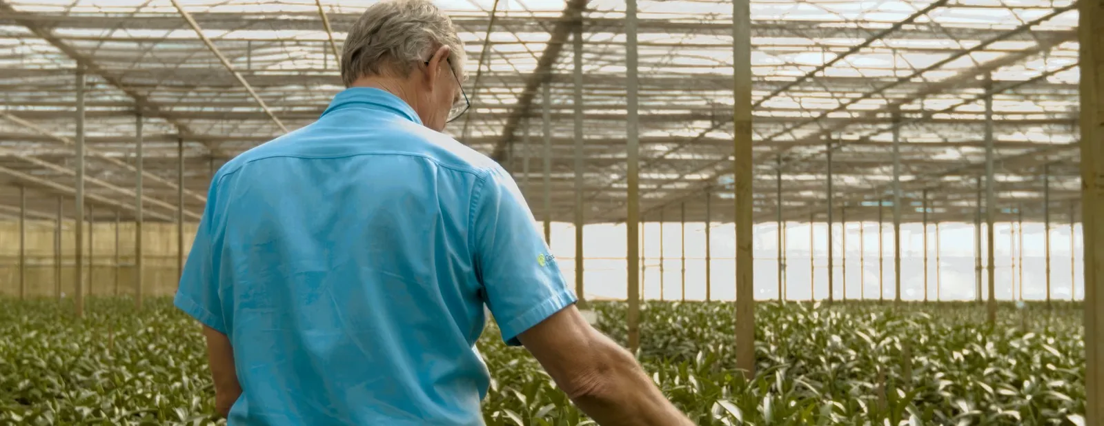 Cinematic frame from Fazenda Alpes institutional film by ORB Audiovisual